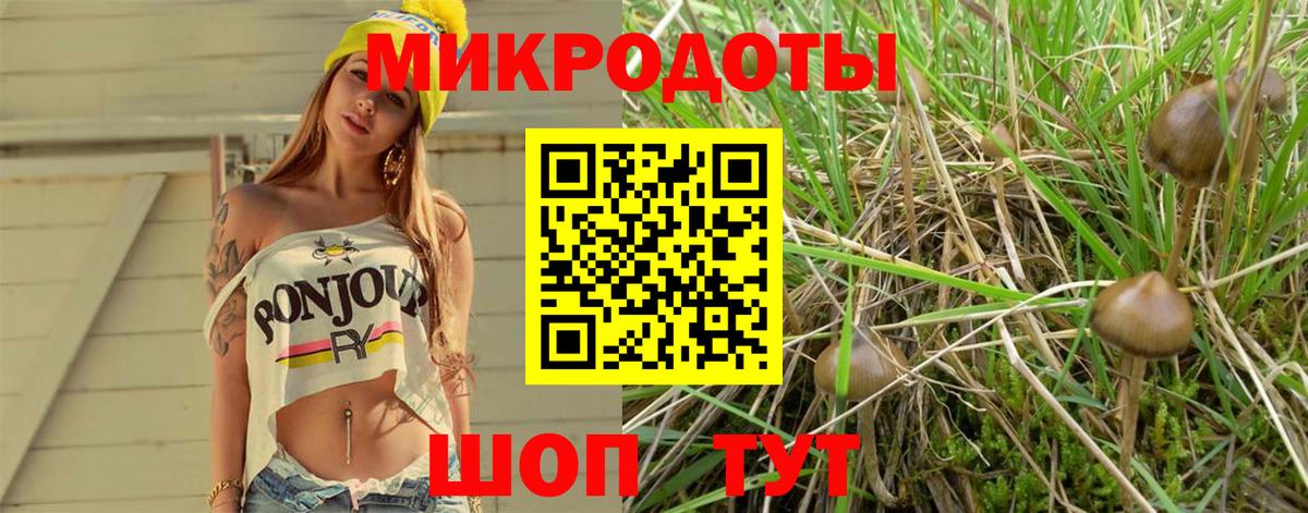 Галлюциногенные грибы мухоморы  Вход с VPN  Углич  Псилоцибиновые грибы Cubensis 