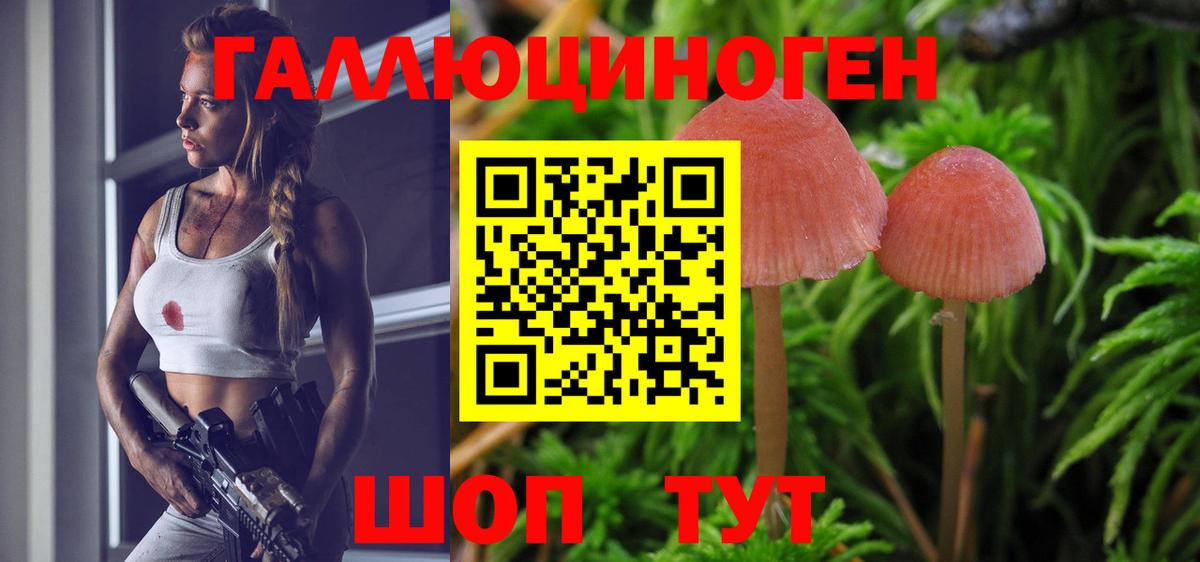 Галлюциногенные грибы Magic Shrooms Углич